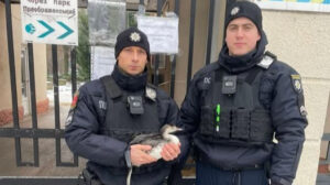 В Одесі поранені патрульні, які раніше врятували птаха: що про них відомо