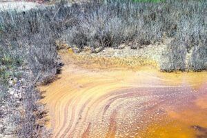 Незвичне природне явище: солоні водойми на Одещині засяяли бурштиновими відтінками