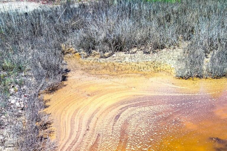 Незвичне природне явище: солоні водойми на Одещині засяяли бурштиновими відтінками