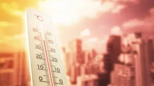 До 53°C на асфальті: супутникові дані показали, де українські міста нагріваються найбільше