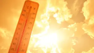 У Європі влітку 2026 року через спеку померли близько 50 тисяч людей: вчені назвали причину